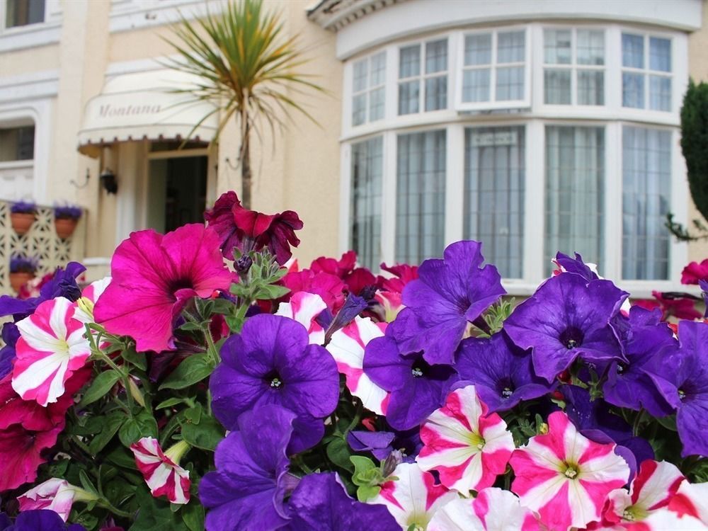 Bed and Breakfast The Montana Torquay Exterior foto